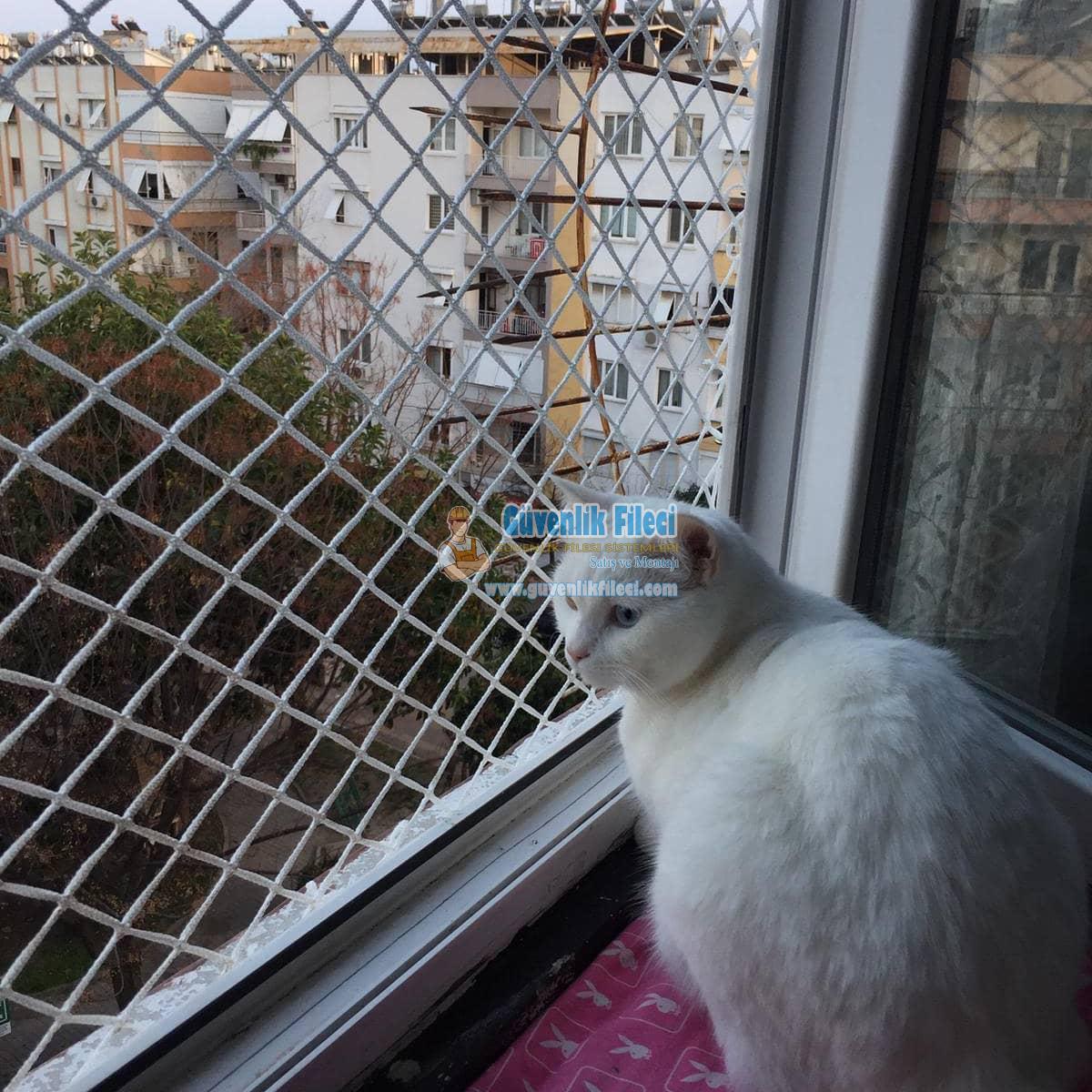   Kedi Koruma Filesi 0530 638 19 79