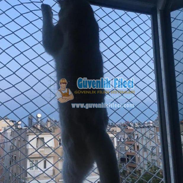   Evcil Hayvan Filesi Çocuk Filesi Kedi Filesi Balkon Filesi 0530 638 19 79